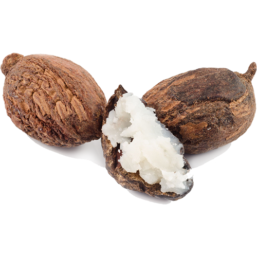 Shea Butter Png PNG Image Collection