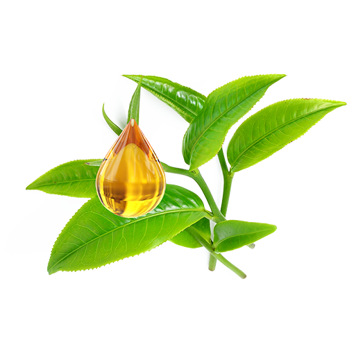 DermaClear Pads Dermaquest