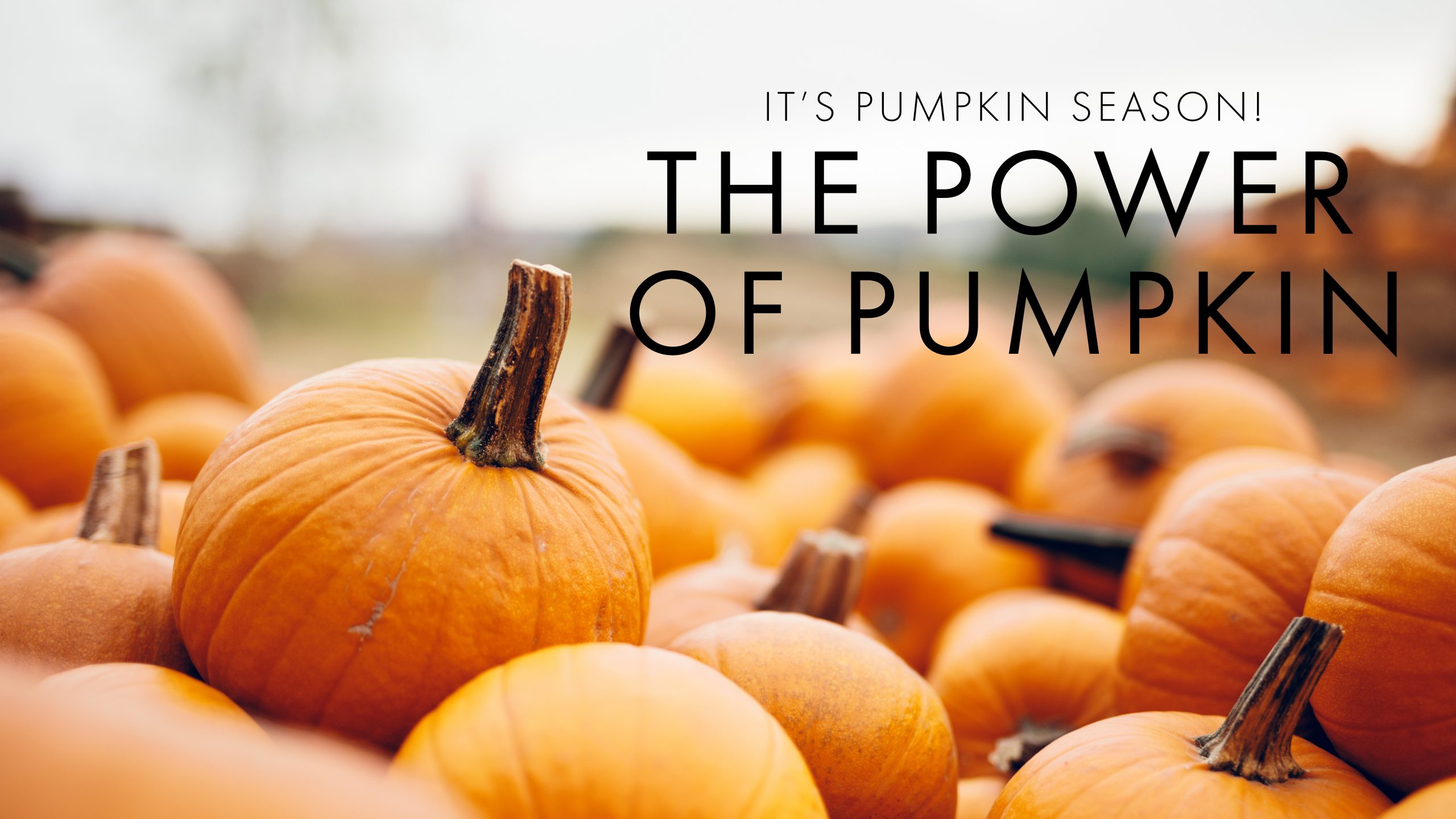 The benefits of pumpkin for the skin